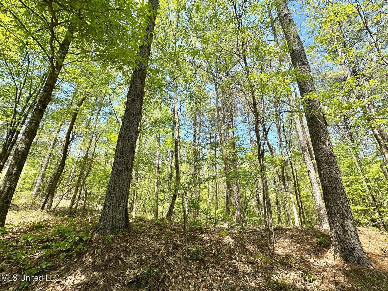 0 County Road 375 - Photo 1