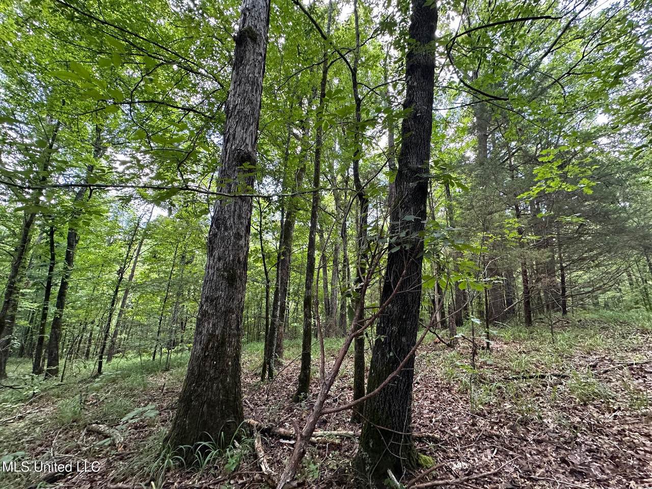 1 Rockport Road - Photo 1