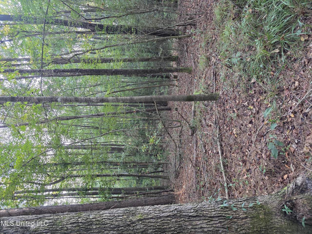  County Rd 155 - Photo 1