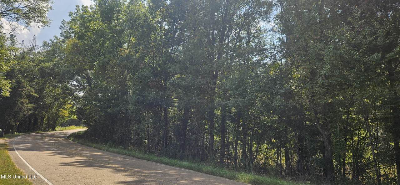  Clinton-Tinnin Road - Photo 1