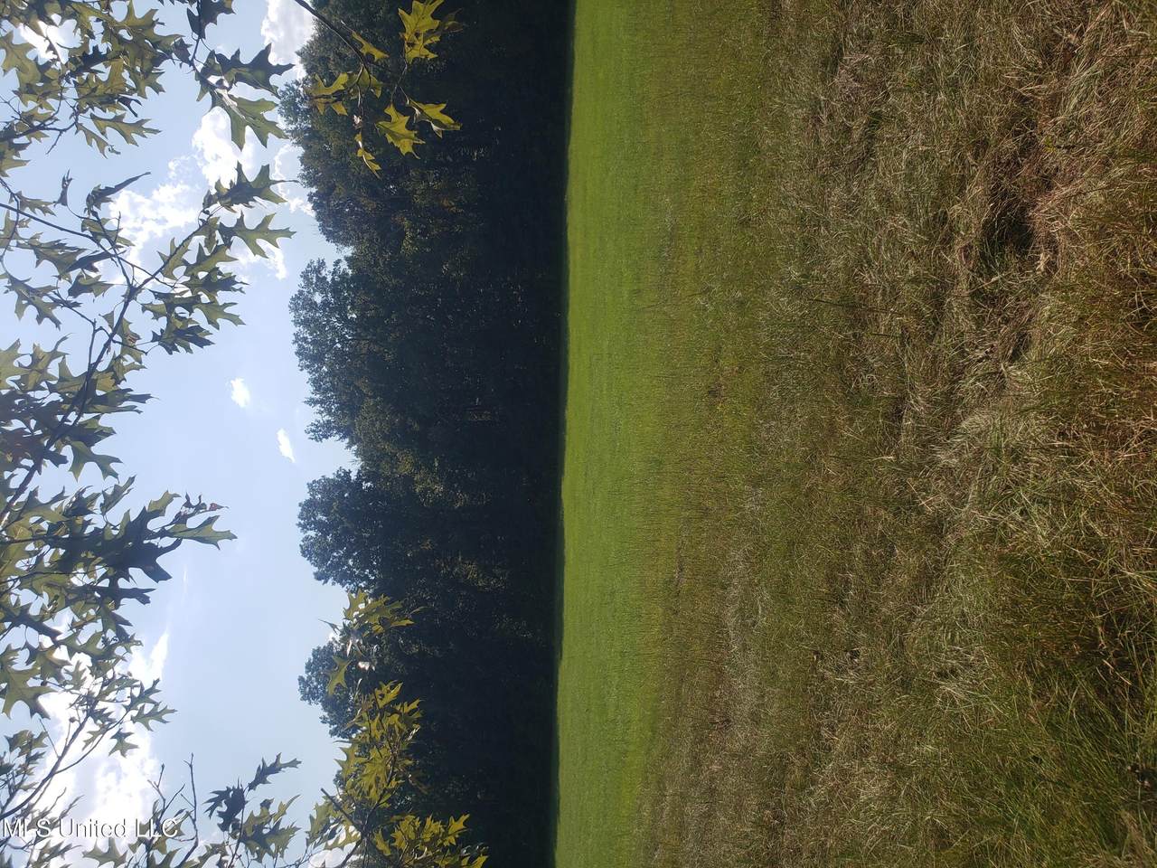 2313 South Frontage Road - Photo 1