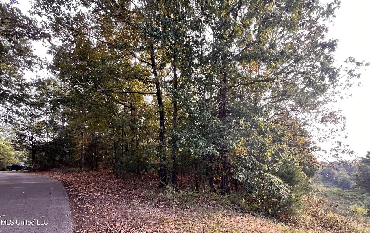 0 Hill Top Road - Photo 1