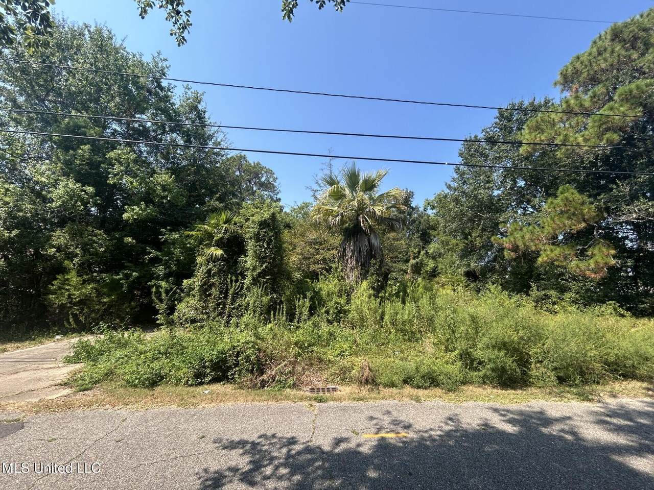 10107 Church Avenue - Photo 1