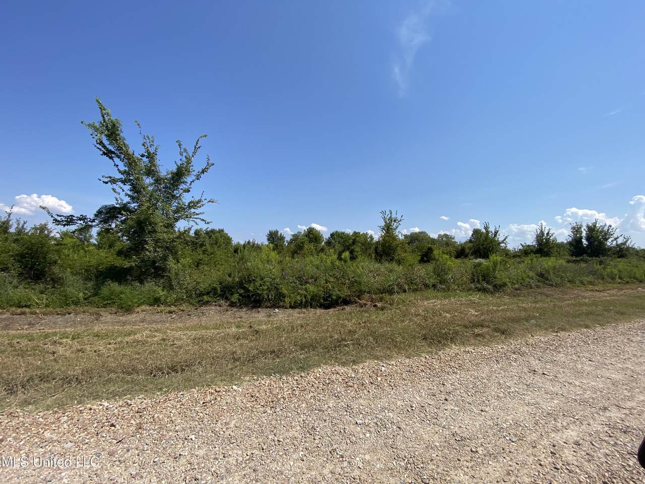 350 Forest Road - Photo 1