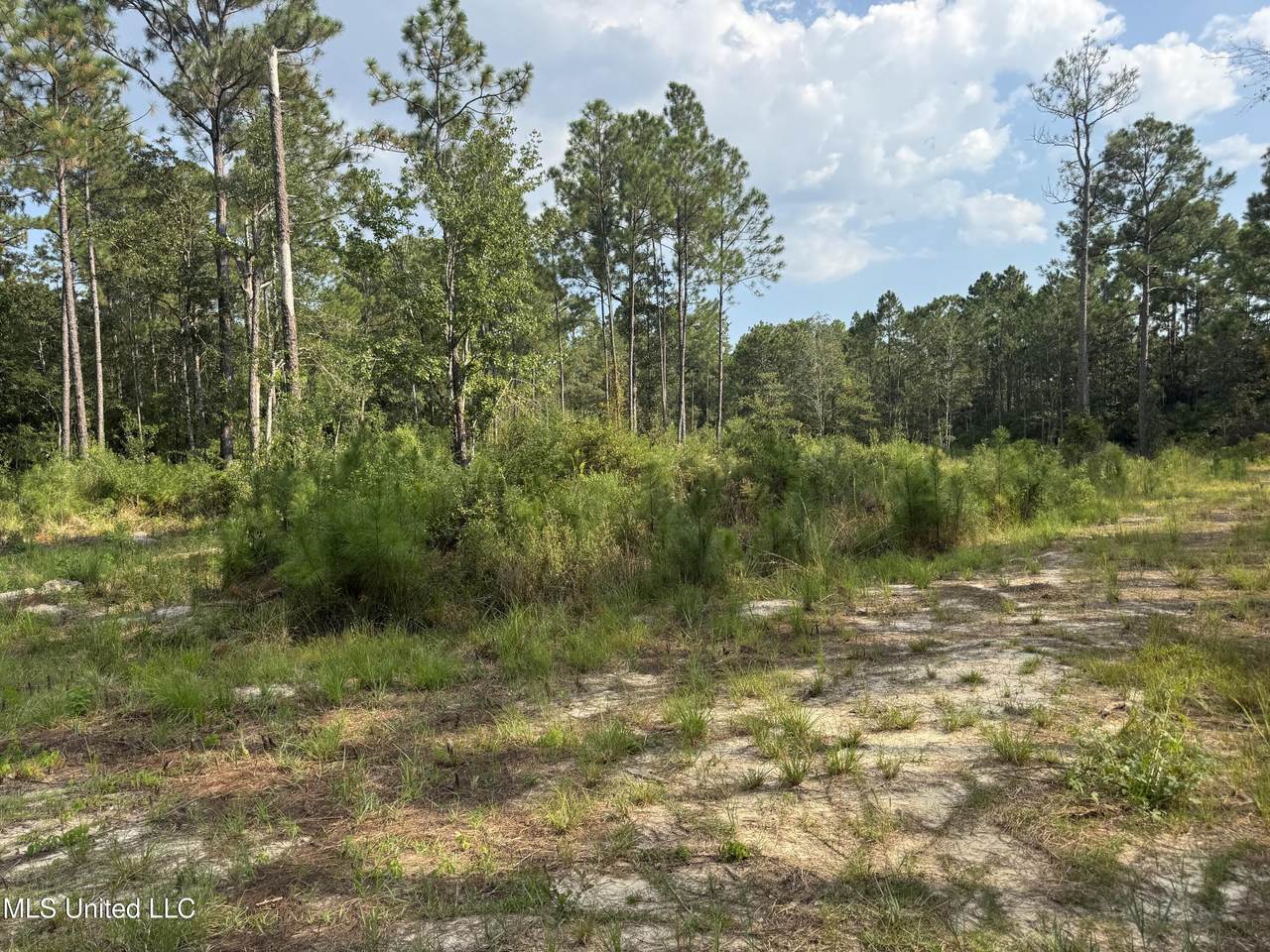 7368 Longridge Road - Photo 1
