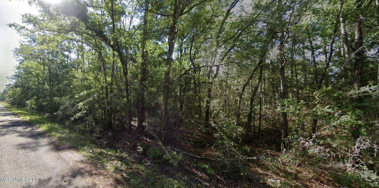 Lots 9-11 Cedar Drive - Photo 1