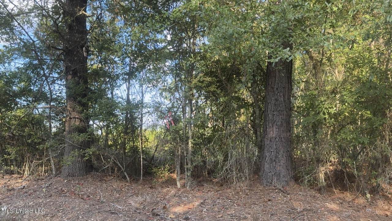  Attala Road 4041 Road - Photo 1