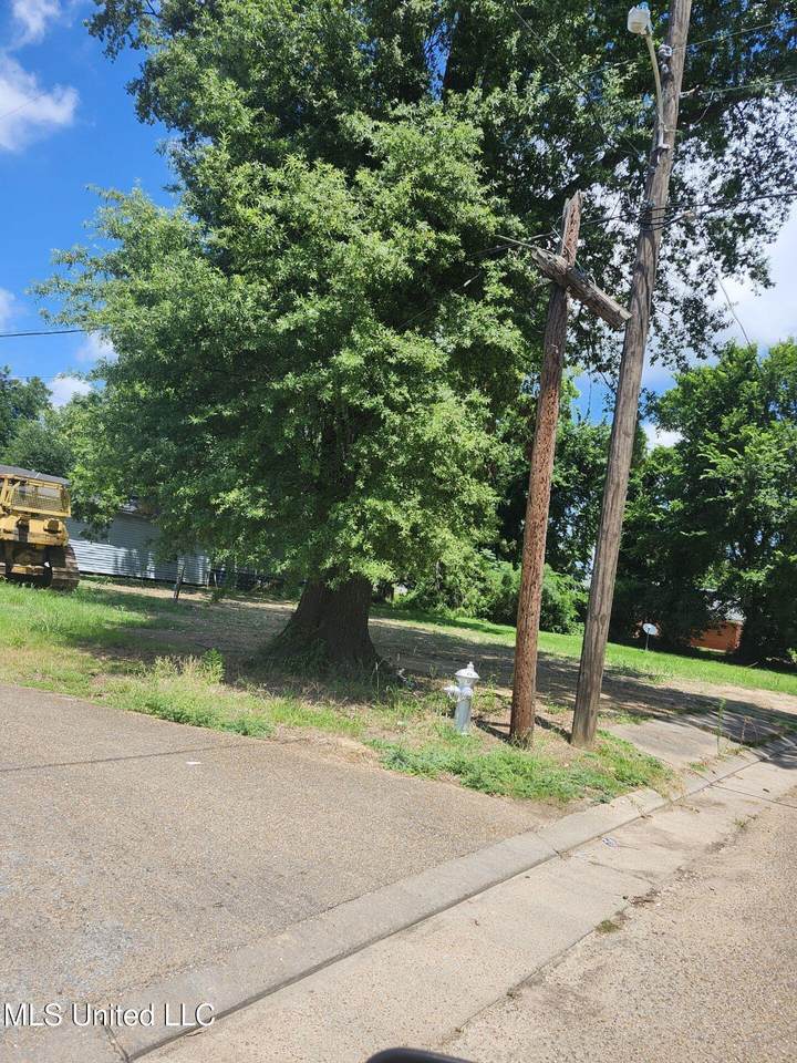 514 Lincoln Avenue - Photo 1