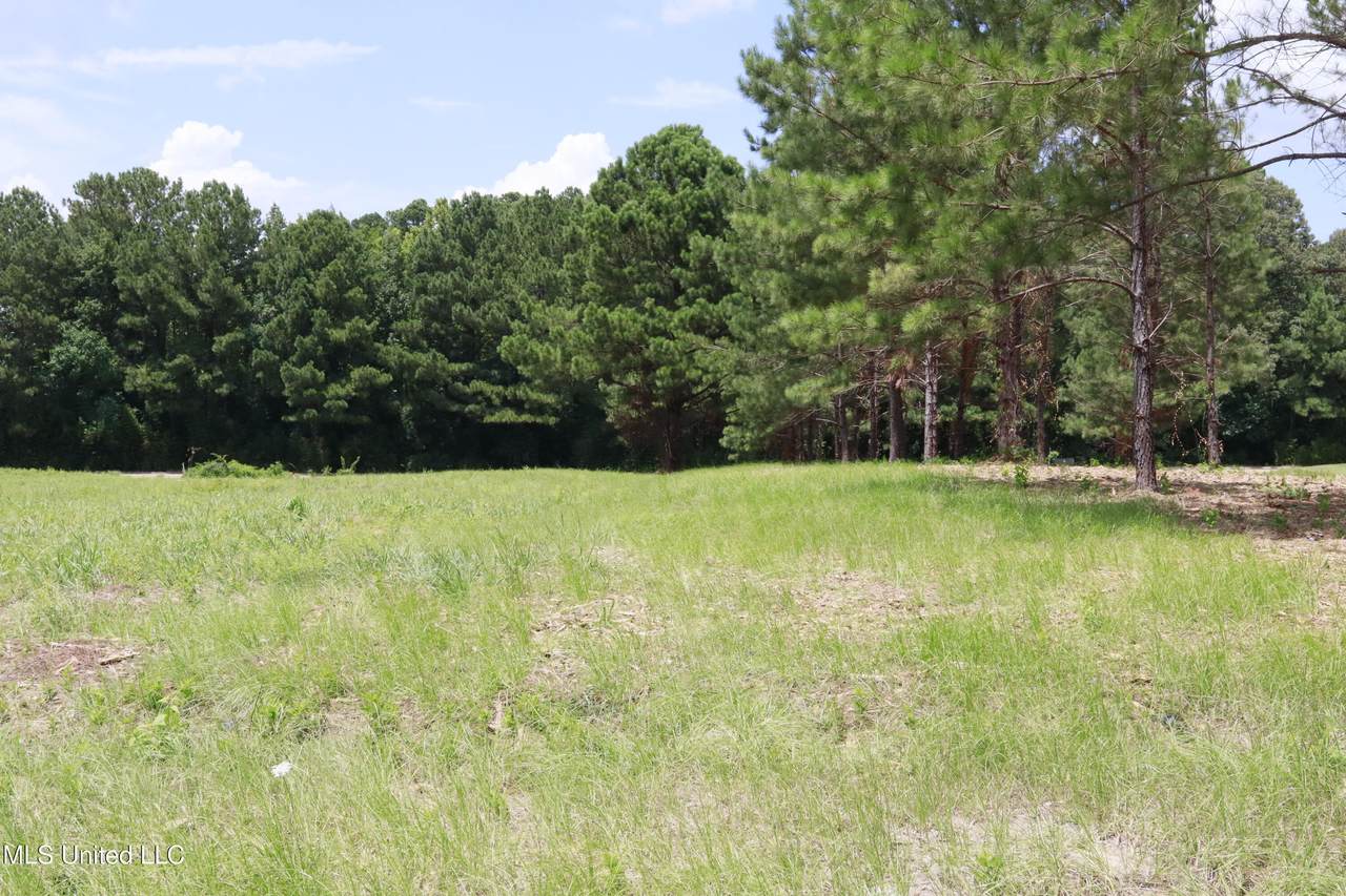 0 Country Place Parkway - Photo 1