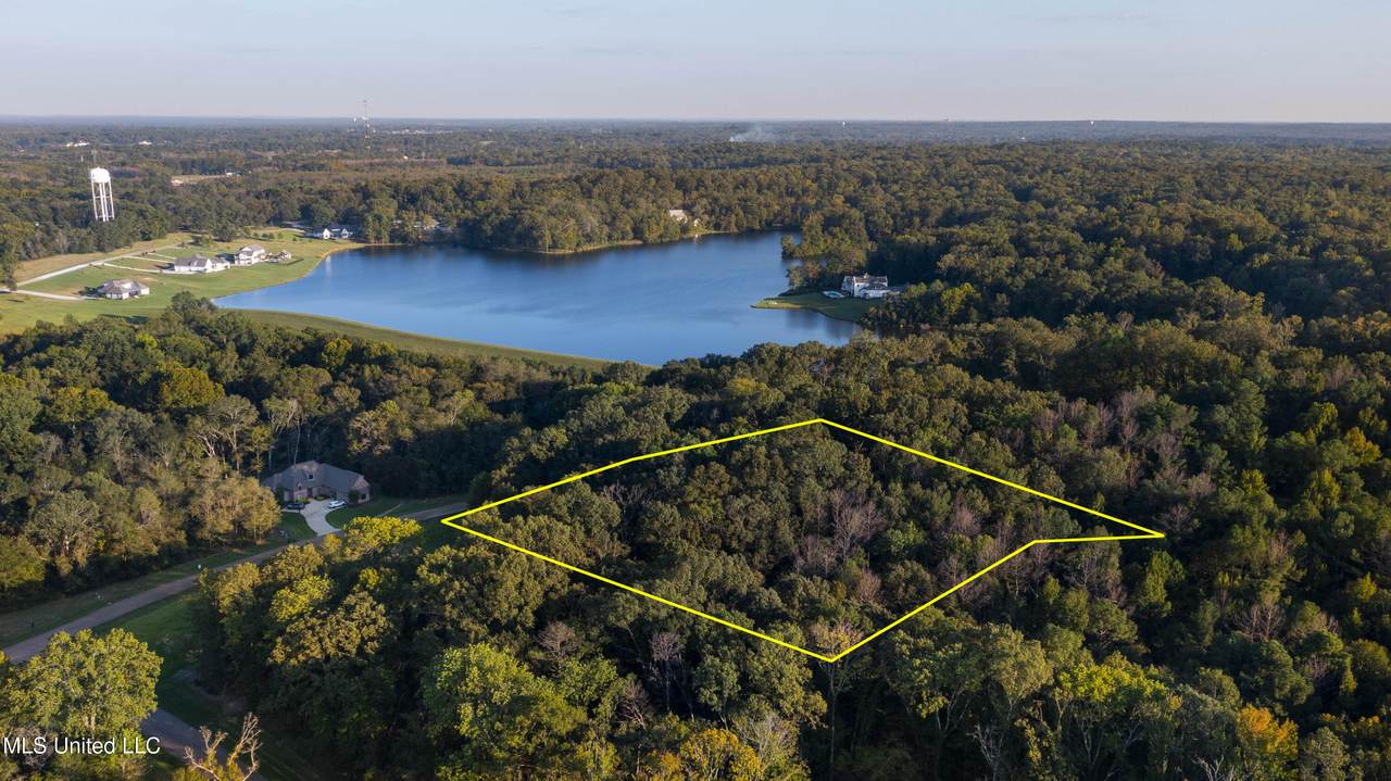  Lot 97 Chestnut Hill Road - Photo 1