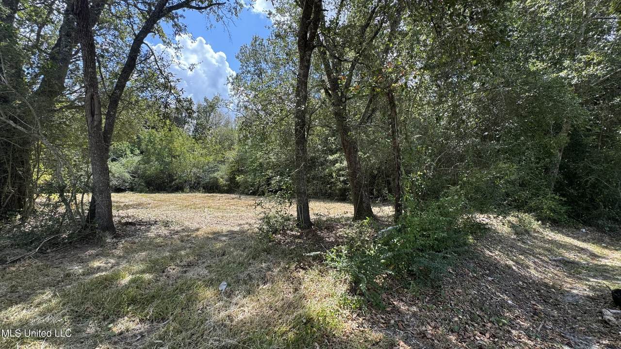 0 0 O'neal Road - Photo 1