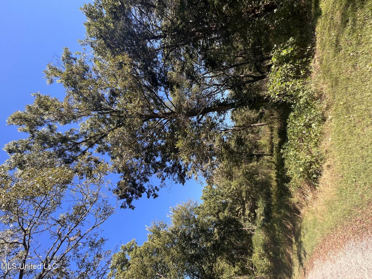  Betty Walton Road - Photo 1