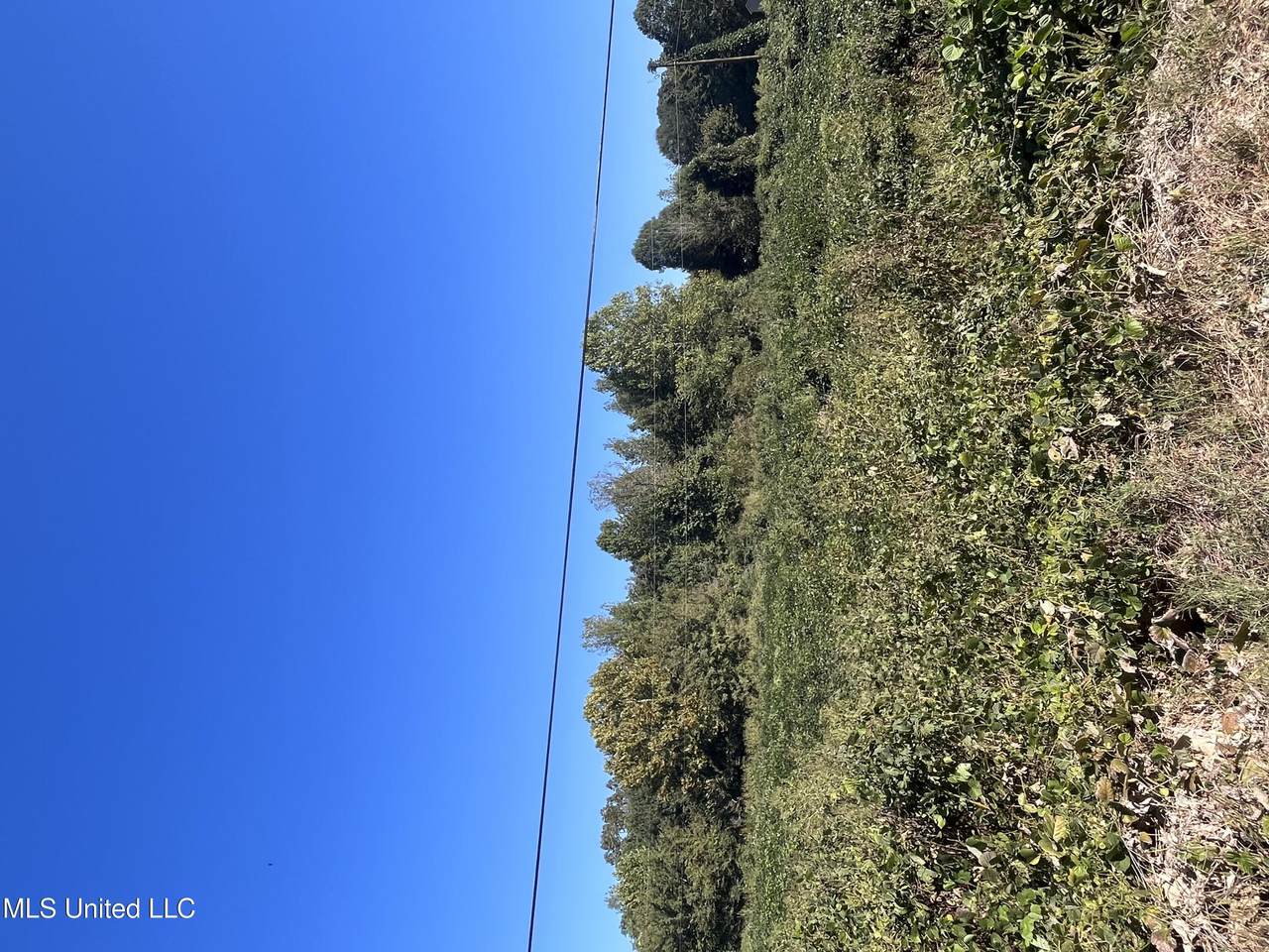  Lucius Taylor Road - Photo 1