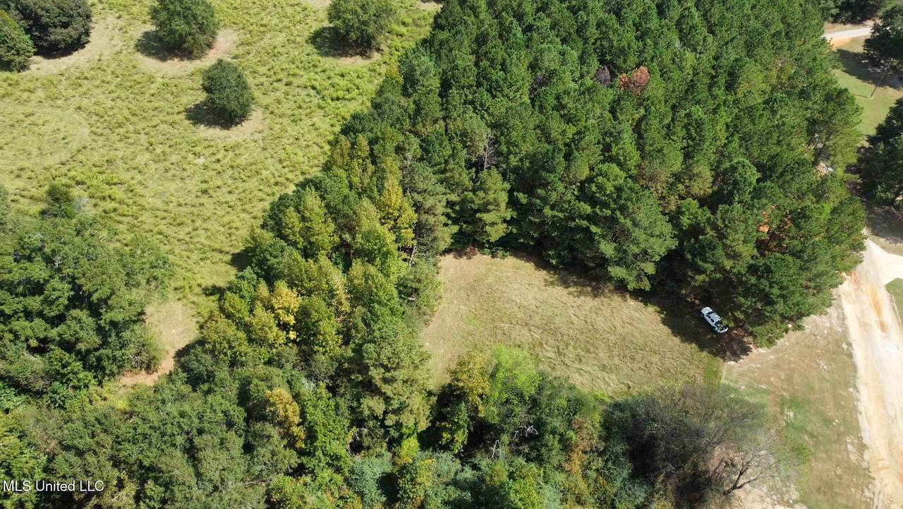 624 Caraway Road - Photo 1