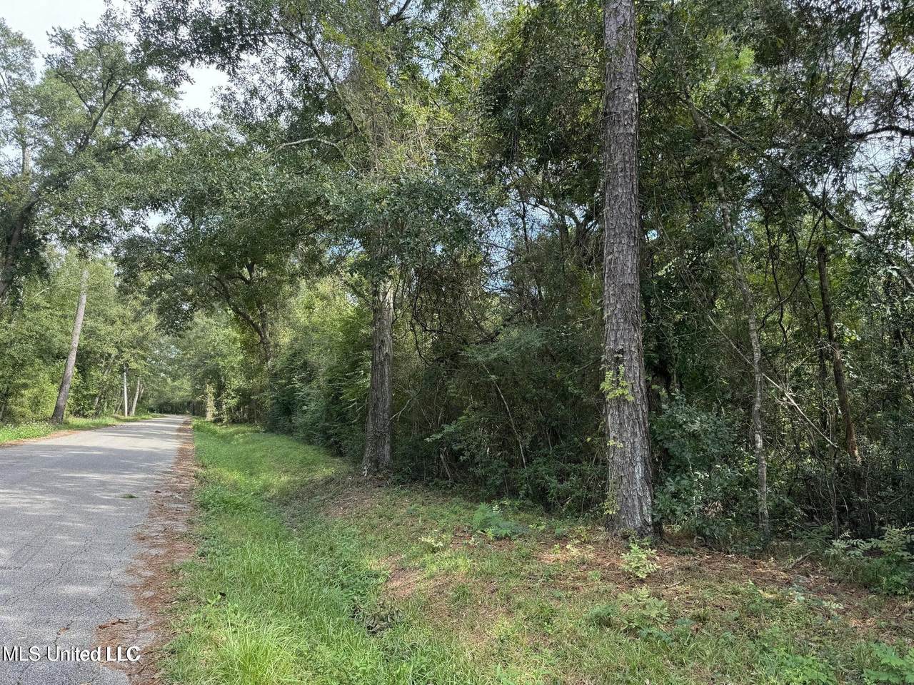  Highway 604 & 1st Avenue - Photo 1