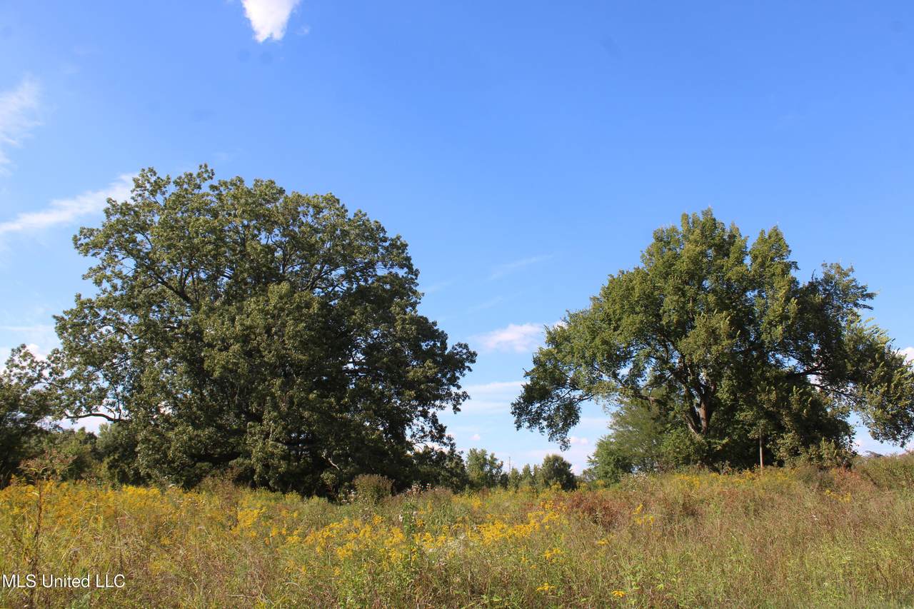 5300 Desoto Road - Photo 1