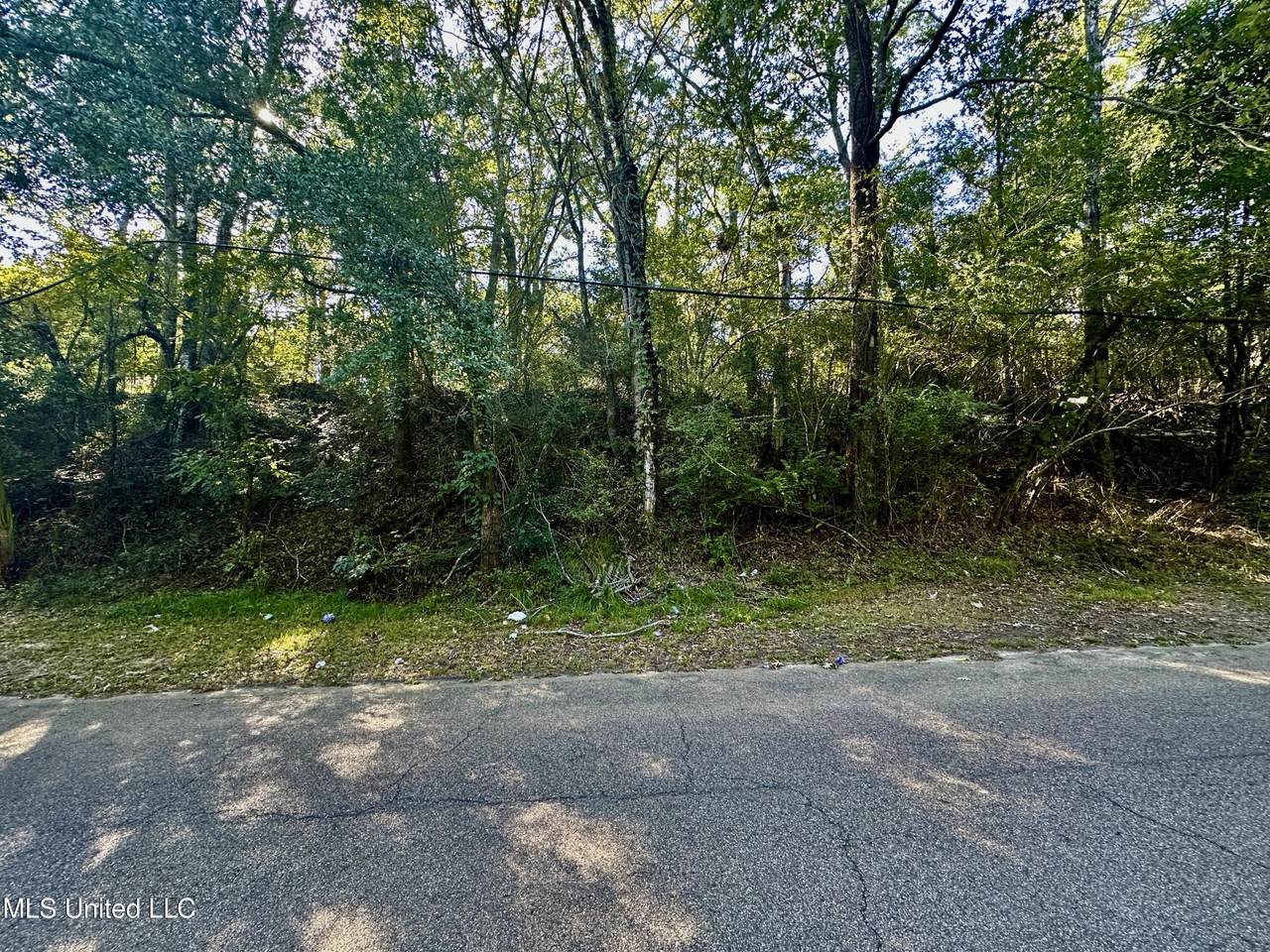 0 Vernon Road - Photo 1