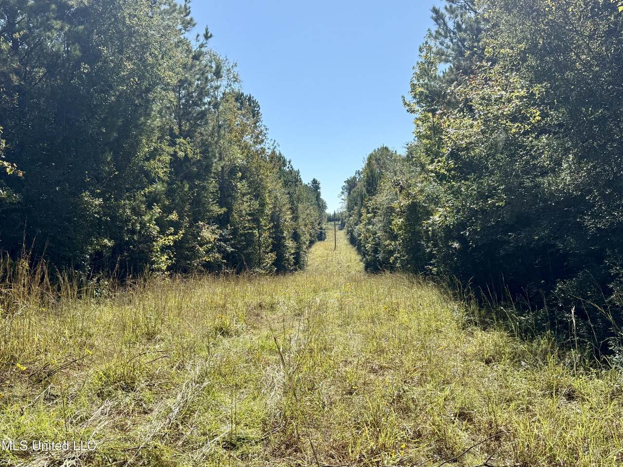 47 Mose Hilliard Road - Photo 1