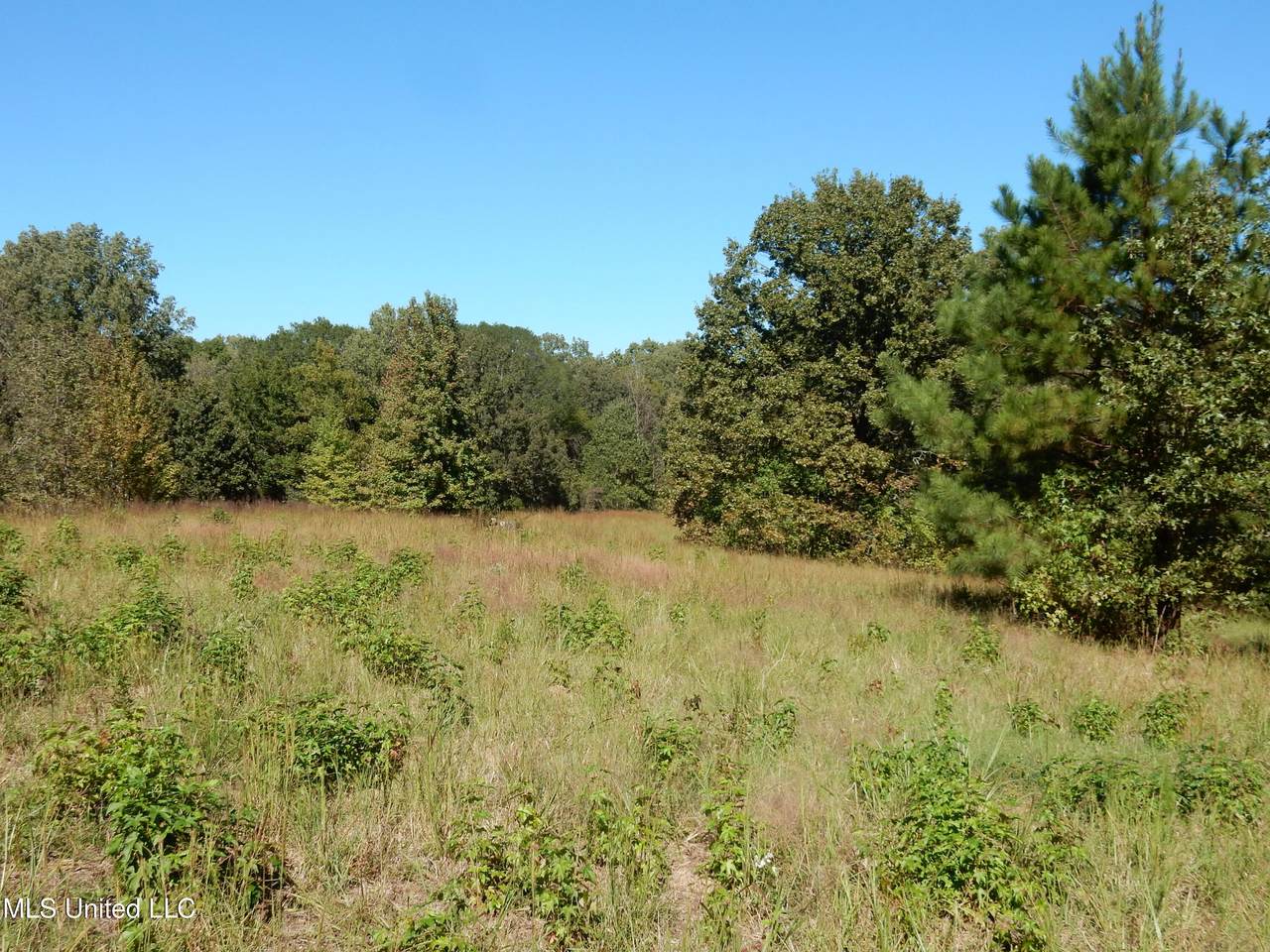 Lot 7 Crockett Road - Photo 1