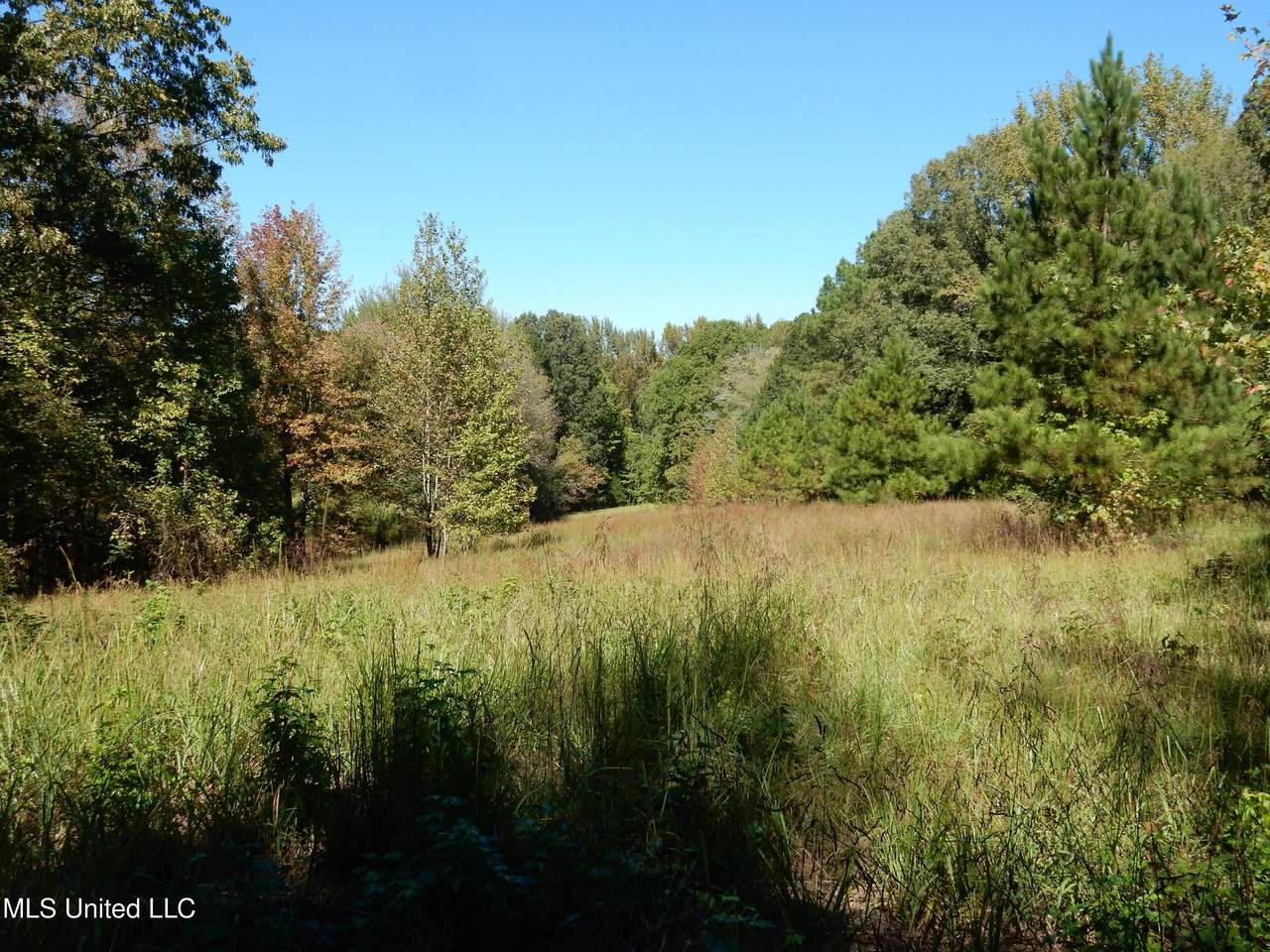 Lot 8 Crockett Road - Photo 1
