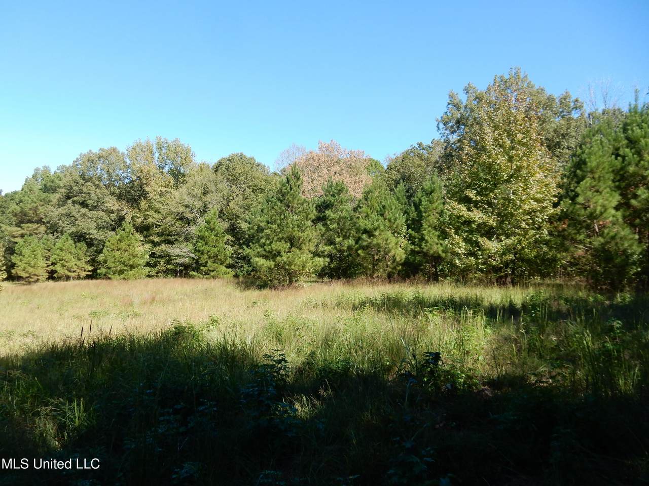 https://bt-photos.global.ssl.fastly.net/united/1280_boomver_1_4128839-2.jpg