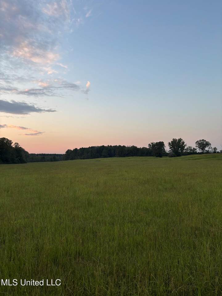  Hwy 43 - Photo 1