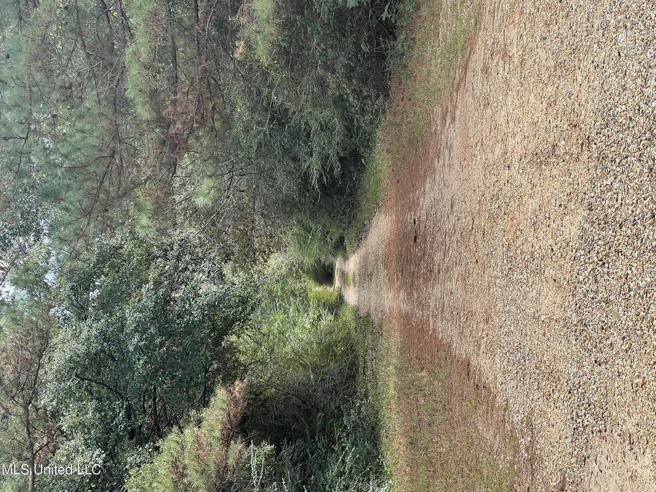 0 Wildwood Drive - Photo 1