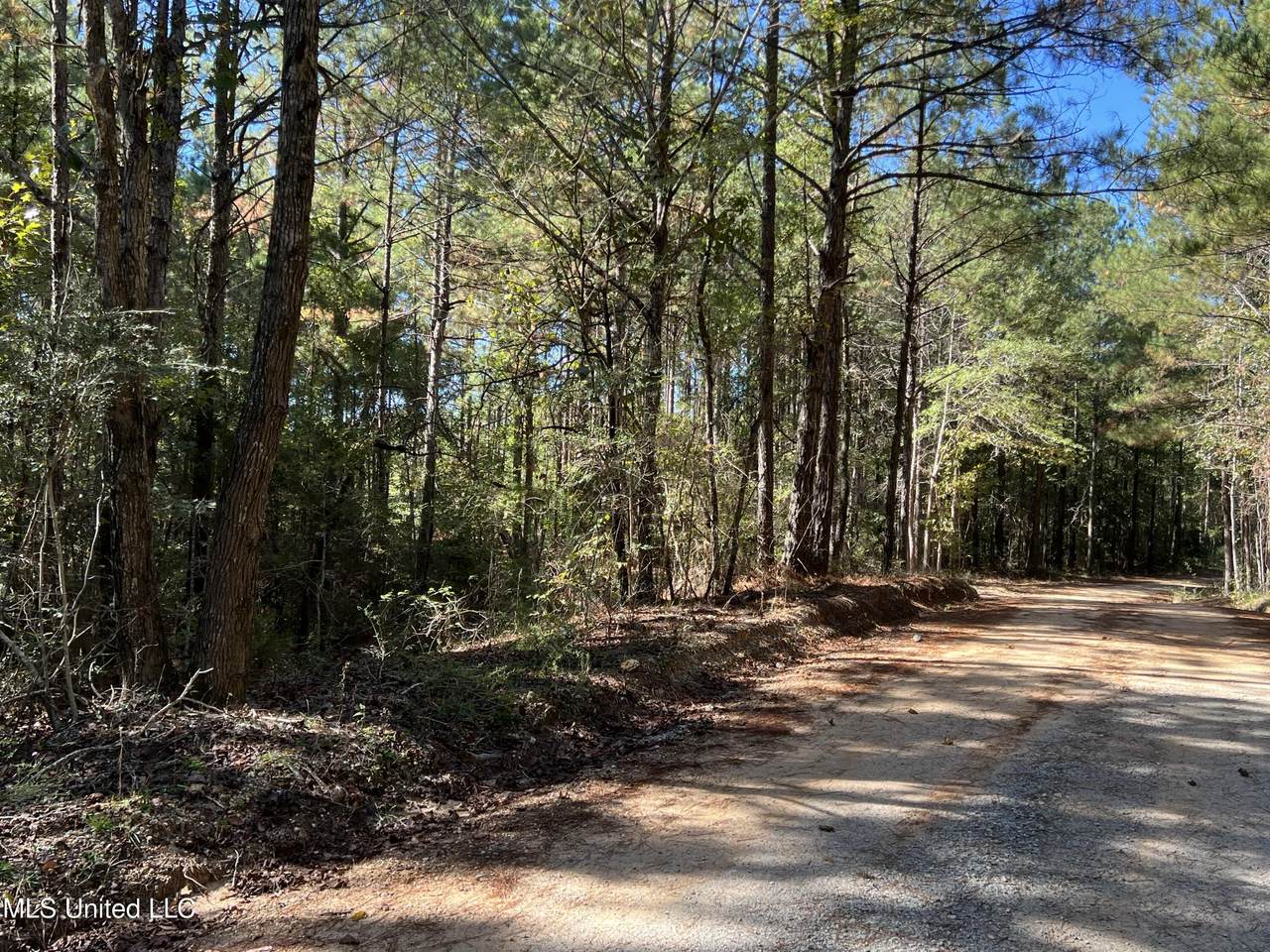 00 County Road 39 - Photo 1