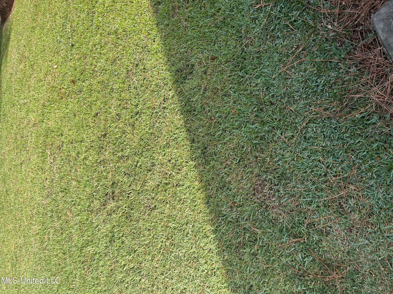  Weisenberger Road - Photo 1