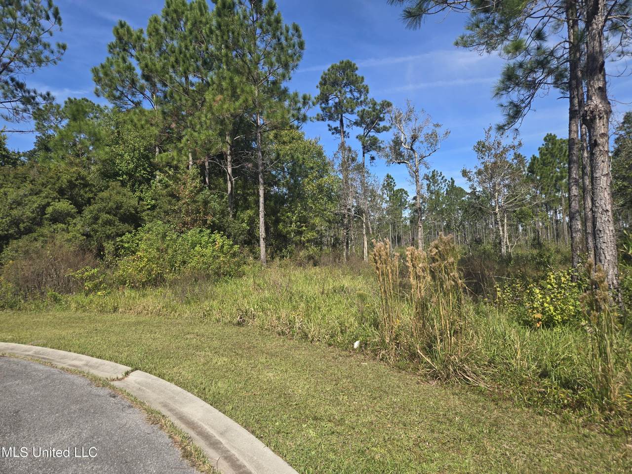  Pinehaven Drive - Photo 1