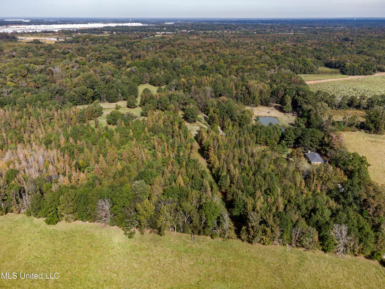  Sowell Road - Photo 1