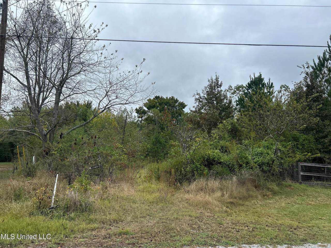 778 Rebecca Drive - Photo 1