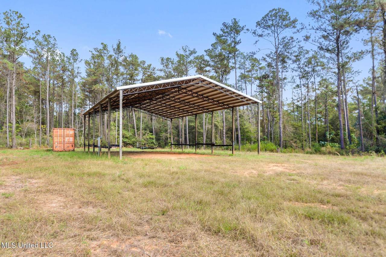 35 Acres Richard Reeves Road - Photo 1
