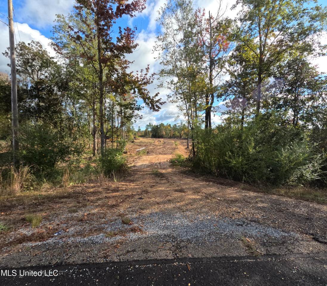  William Warren Road - Photo 1