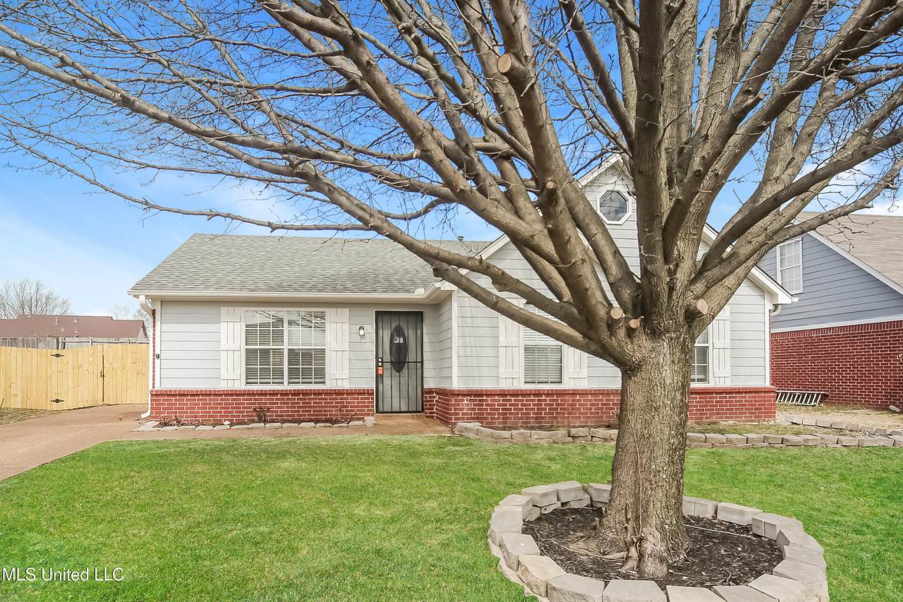 4238 Shadow Glen Drive - Photo 1