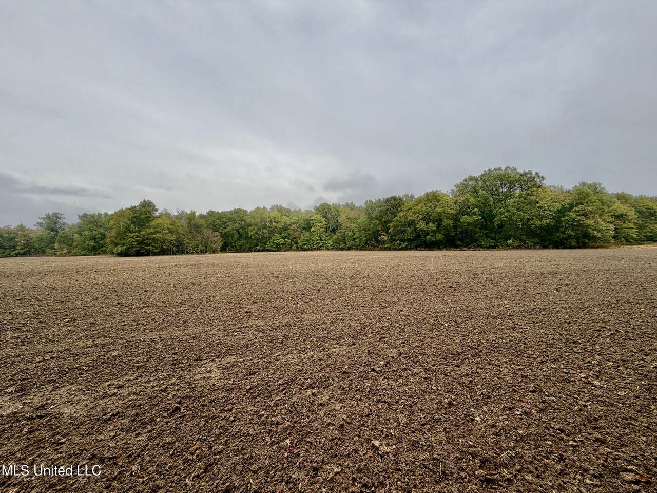 https://bt-photos.global.ssl.fastly.net/united/1280_boomver_1_4130133-2.jpg