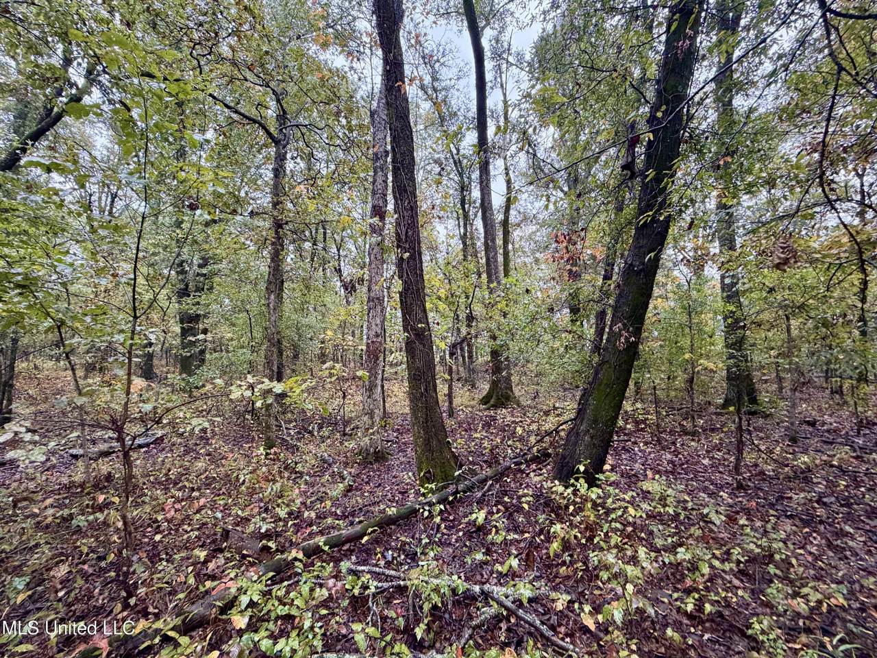 https://bt-photos.global.ssl.fastly.net/united/1280_boomver_1_4130133-2.jpg
