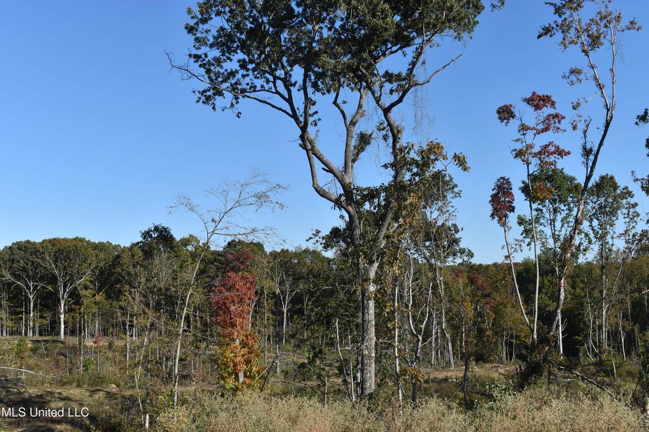 7 Marianna Road - Photo 1