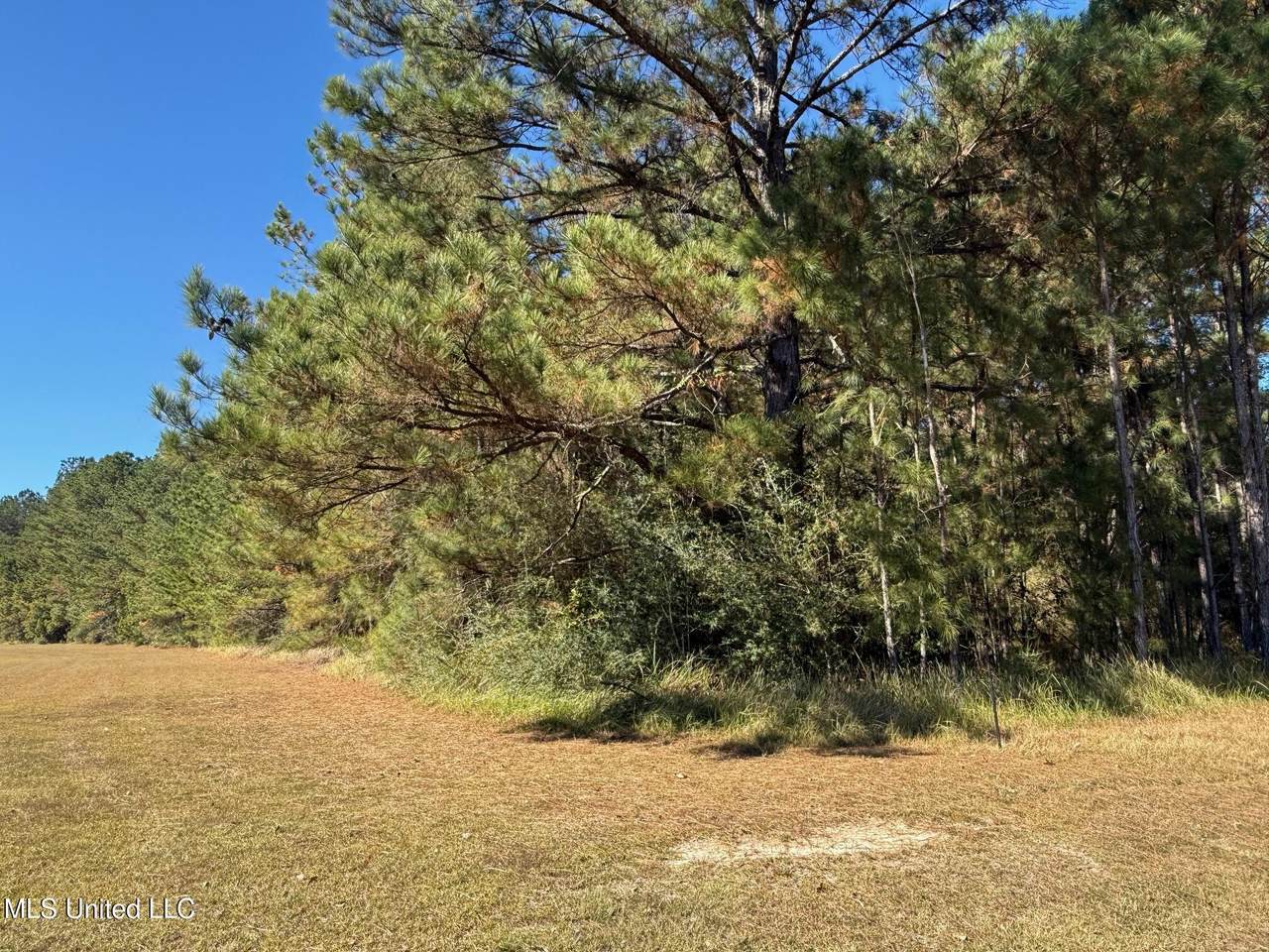 6.25ac Knob Town Rd - Photo 1