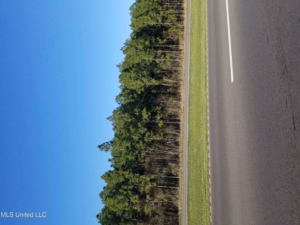  Old Hwy 57 Highway - Photo 1