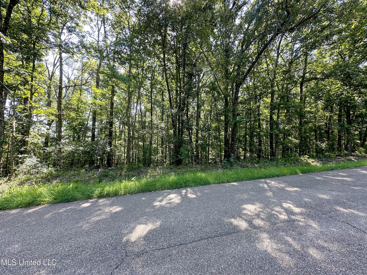0 Lakeridge Lane - Photo 1