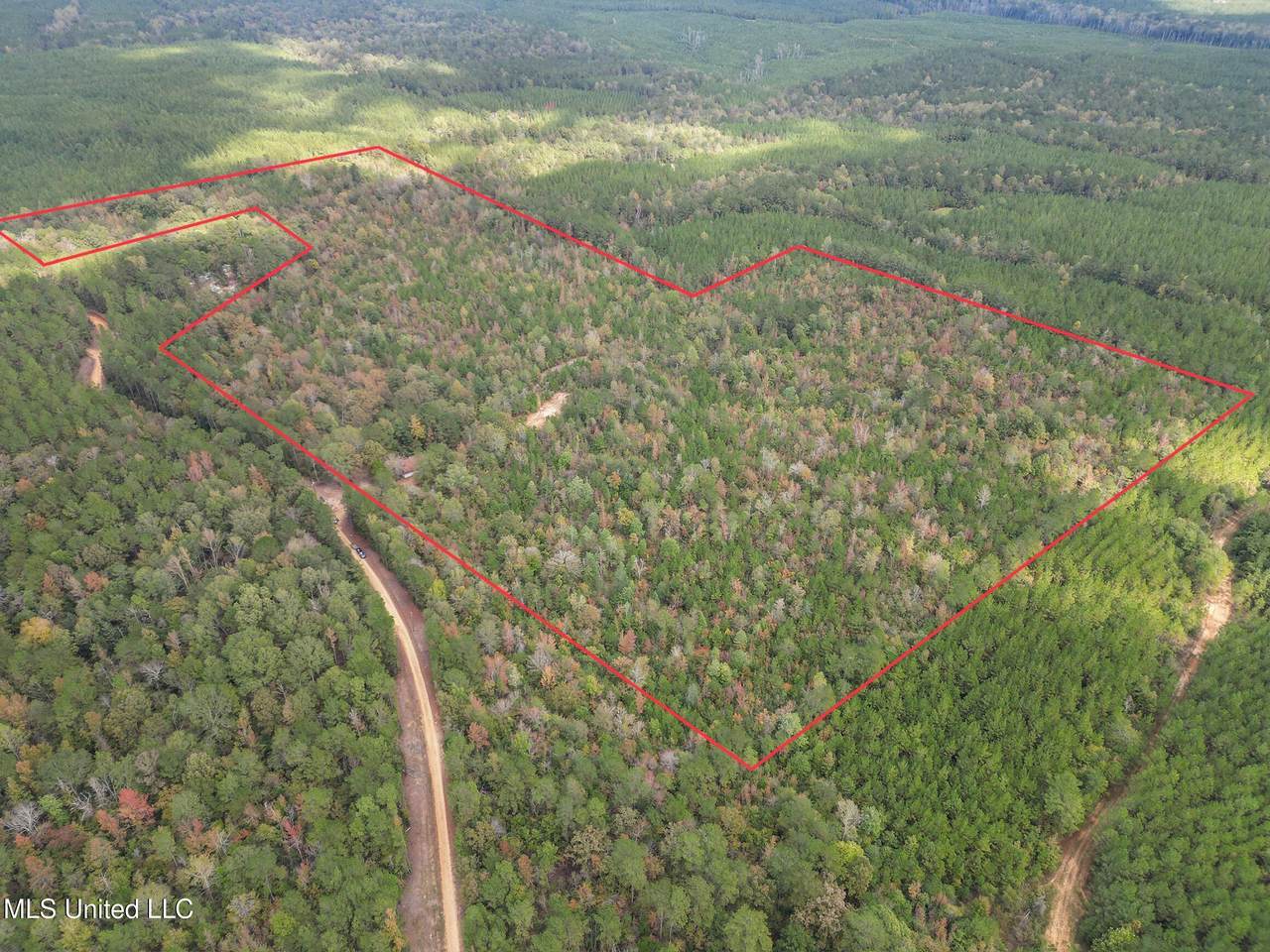 222 Byrd Road - Photo 1