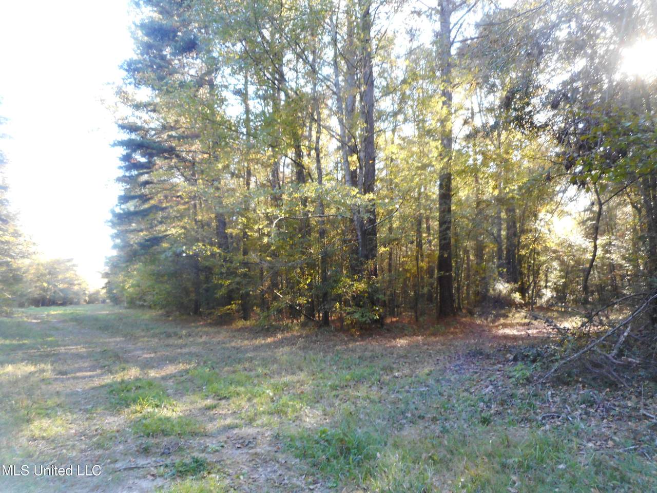 https://bt-photos.global.ssl.fastly.net/united/1280_boomver_1_4130813-2.jpg
