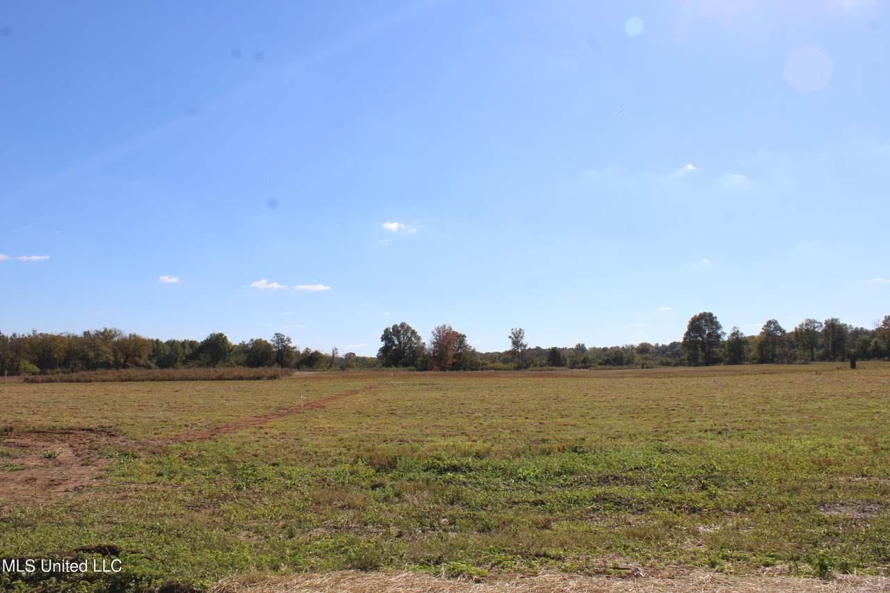 20 Pin Oak Road - Photo 1