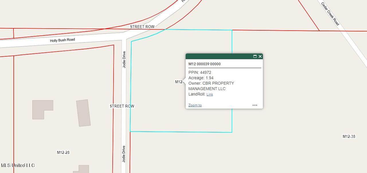 00 Holly Bush Road - Photo 1