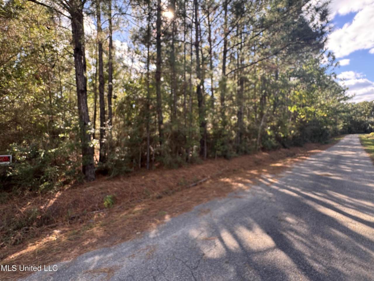 7190 Cantania Road - Photo 1