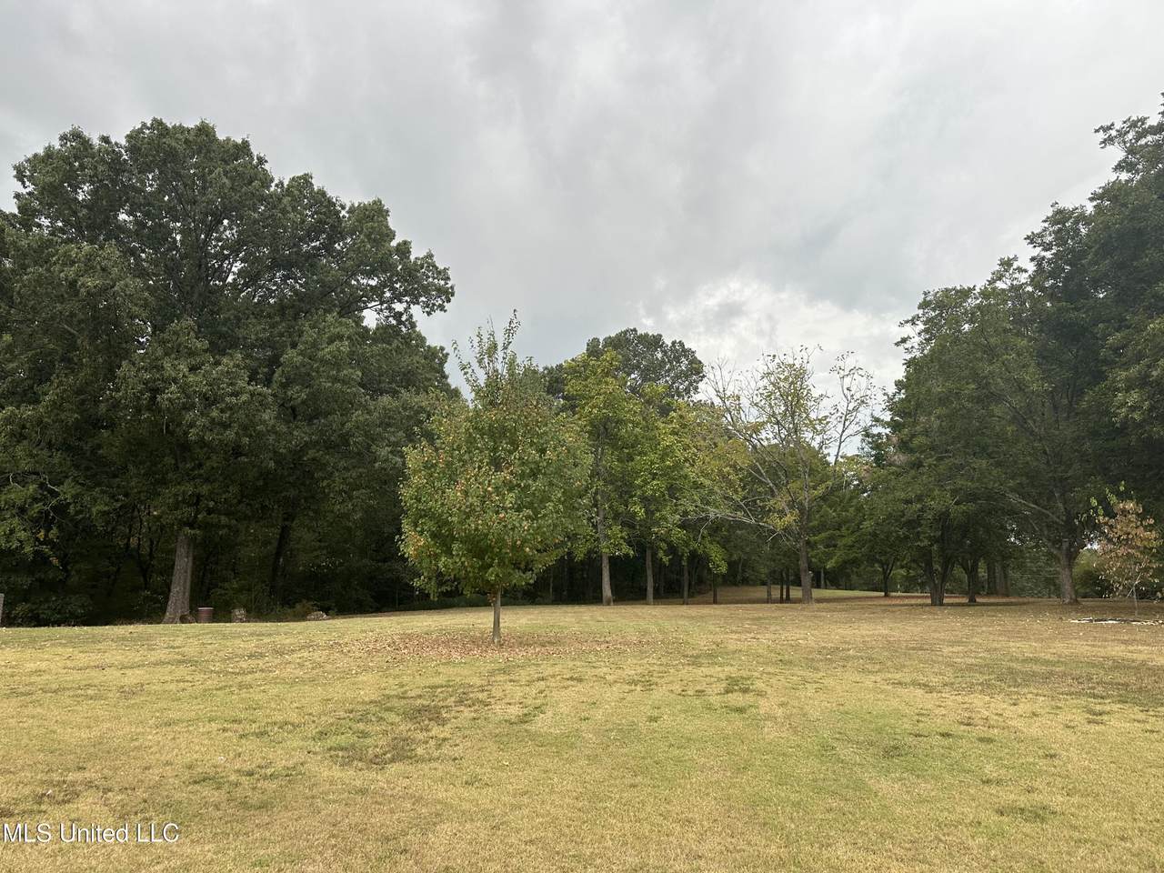 4486 Swinnea Road - Photo 1