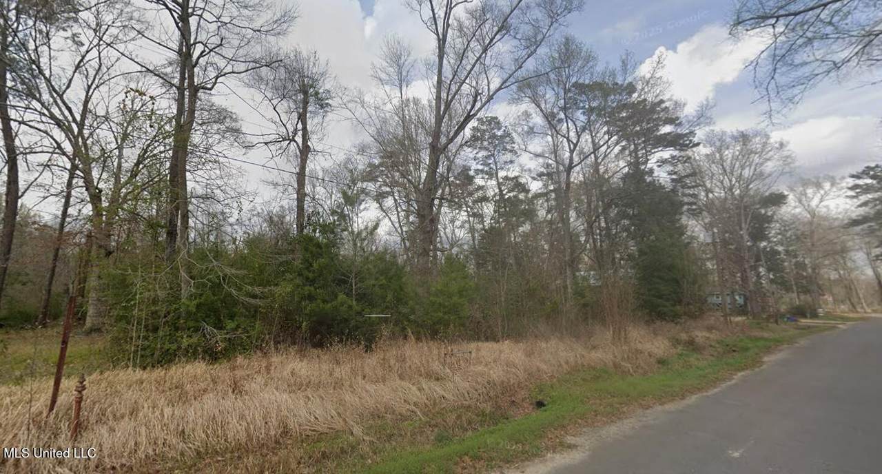  Holly Drive - Photo 1