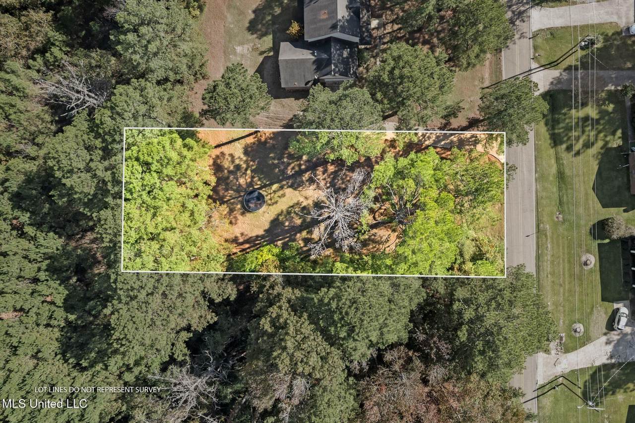00000 Forest Hill Rd. - Photo 1