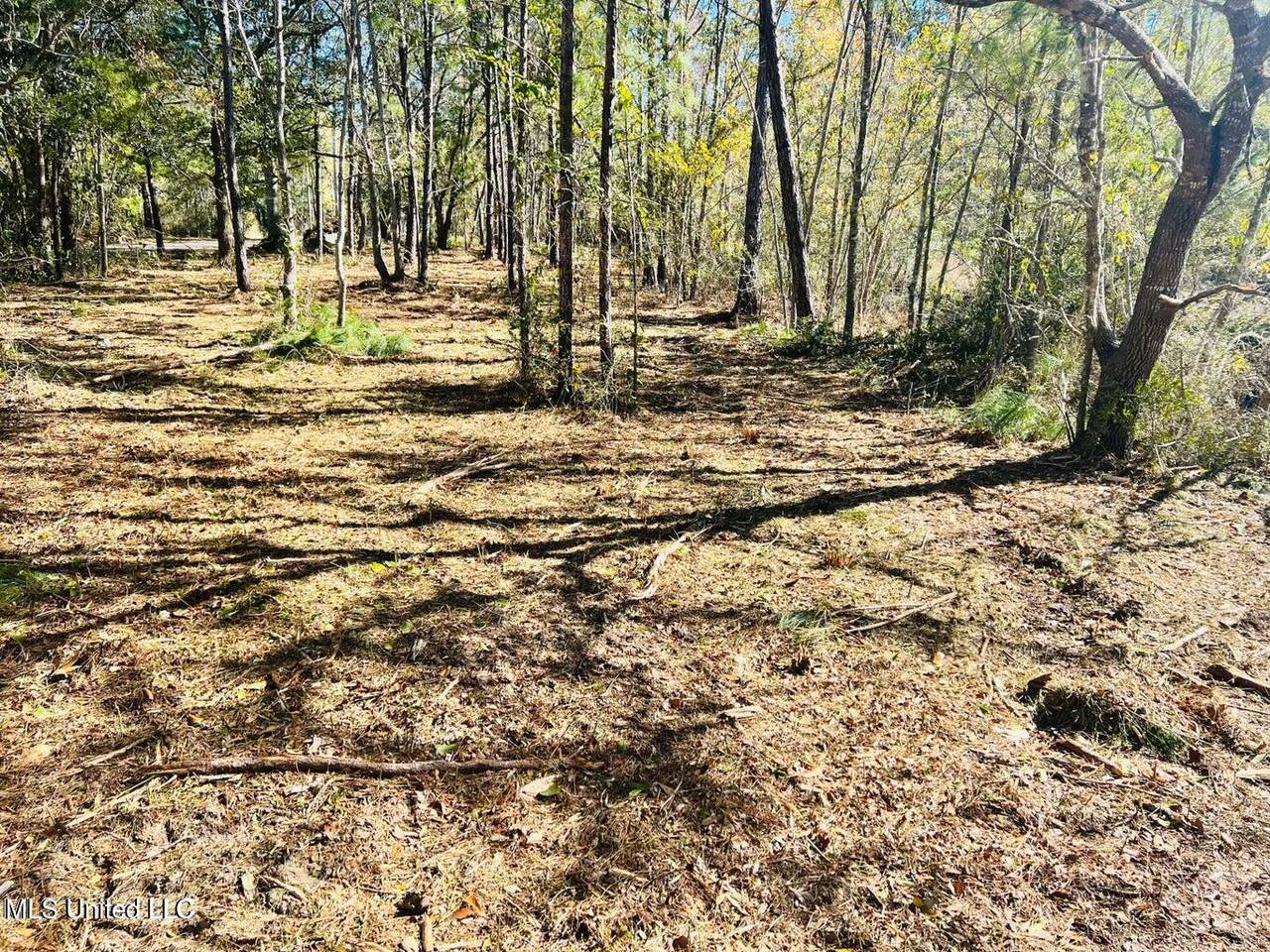 Nhn Lot 10 18 Street - Photo 1